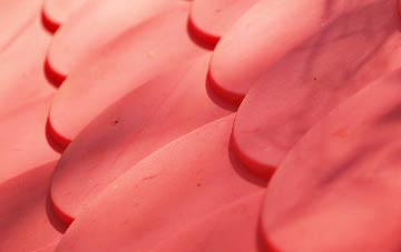 Tuttington plastic roof costs